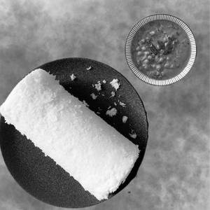 Puttu 1 Cylinder With Kadala Curry