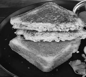 Fresh Veggie Sandwich