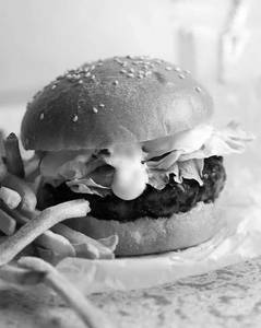 Japanese teriyaki burger 