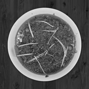 Mutton Keema