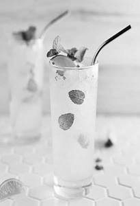 Lime Mint Mojito