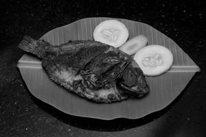 Fish Fry [1 Piece]