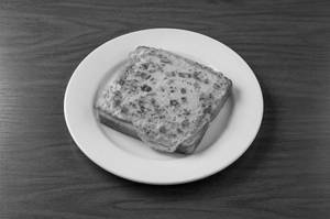 Classic Bread Omelette