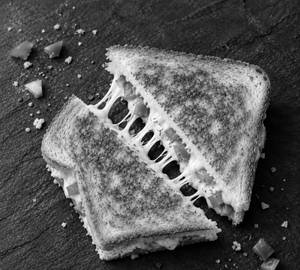 Cheese Sandwich