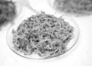 Veg Maggi