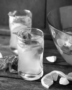 Lemon Mojito