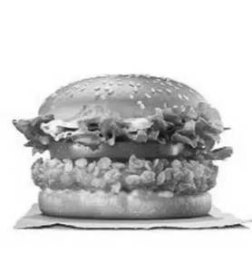 Crispy Chicken Burger