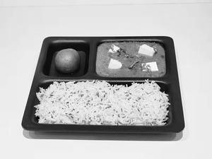 Paneer  Rice Combo