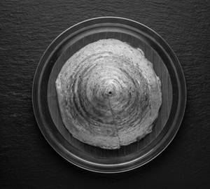 Special Dosa