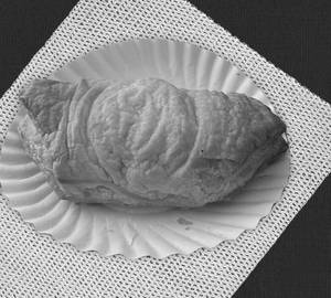 Egg puff