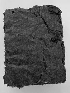 Plain Brownie