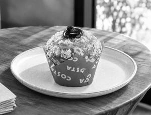 Classic Blueberry Muffin