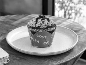 Double Chocolate Muffin