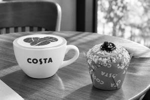 Cappuccino- Small & Classic Blueberry Muffin