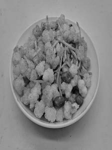 Sabudana Farali Lal Miri