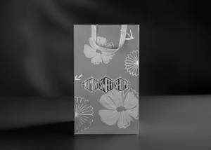 Small Coral Gift Bag