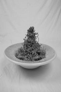 Chinese Bhel