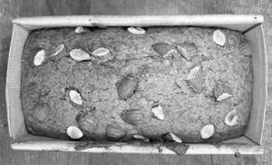 Almond Dry Cake (400 Gm)