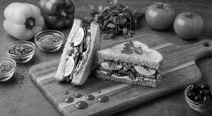 Tel Aviv Sandwich