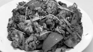 Gobi Adraki