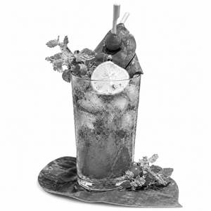 Pan Mint Mojito