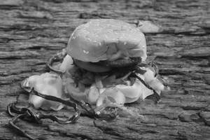 Veg Burger