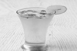 Mint Mojito