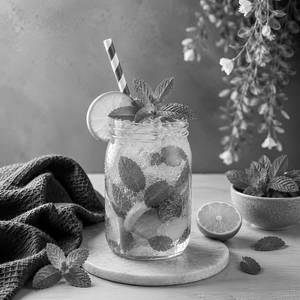 Mint Mojito