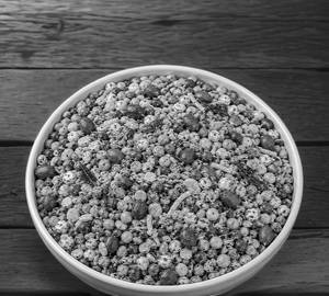 Protein Mix