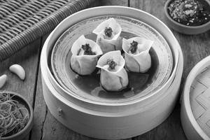 Crunchy Chicken Dumpling