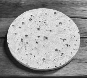 Plain Tawa Roti