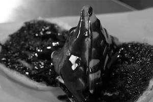 Chocolate Samosa Pav