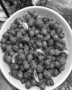 Chana Garlic Koliwada