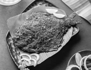 Pomfret