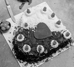 Dual Forest Heart Large Cake(1 Kg)