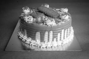 Biscoff Vanilla Cake