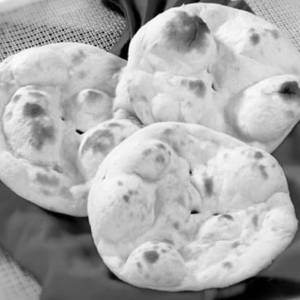 Plain Roti