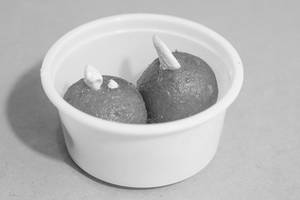 Gulab Jamun [2 Pieces]