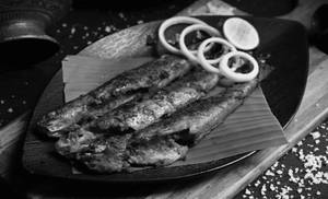 Kane Tava Fry