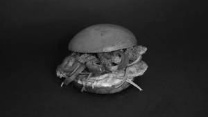 Chimichurri Grilled Chicken Burger