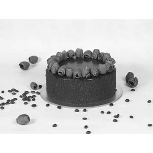 Chocolate Tiramisu Cake Medium 850 Gms