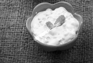 Plain Dahi