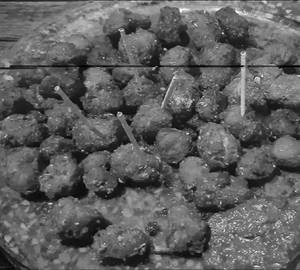 Nutri Pakoda