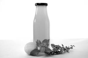 Cold Pressed Lemon Mint Juice