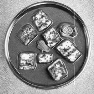 Paneer Khurchan 
