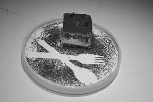 Bayleaf Tiramisu Cake