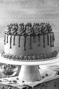 Triple Chocolate Indulgence Exotic  Cake
