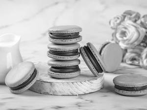 Hazelnut Macaron