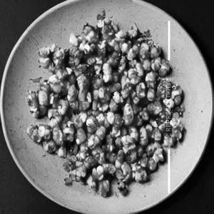 Crispy Corn