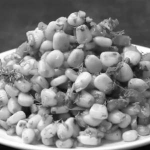 Corn Chaat